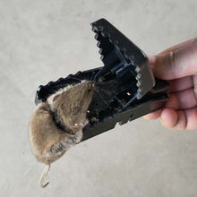 Charger l'image dans la galerie, Piège à souris de taille moyenne et à déclenchement rapide