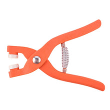 Load image into Gallery viewer, |14:29#B